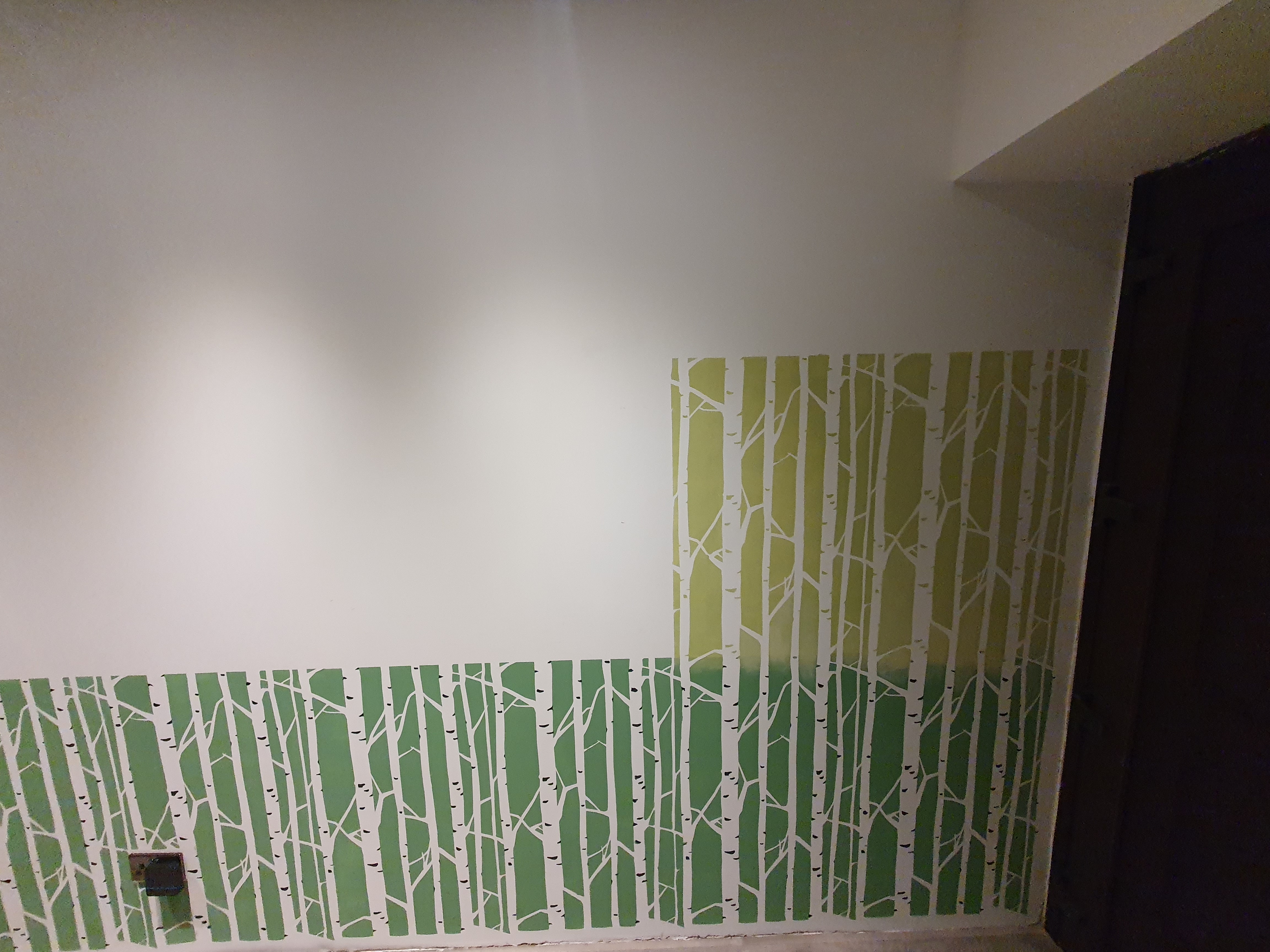 Birch Grove image 1
