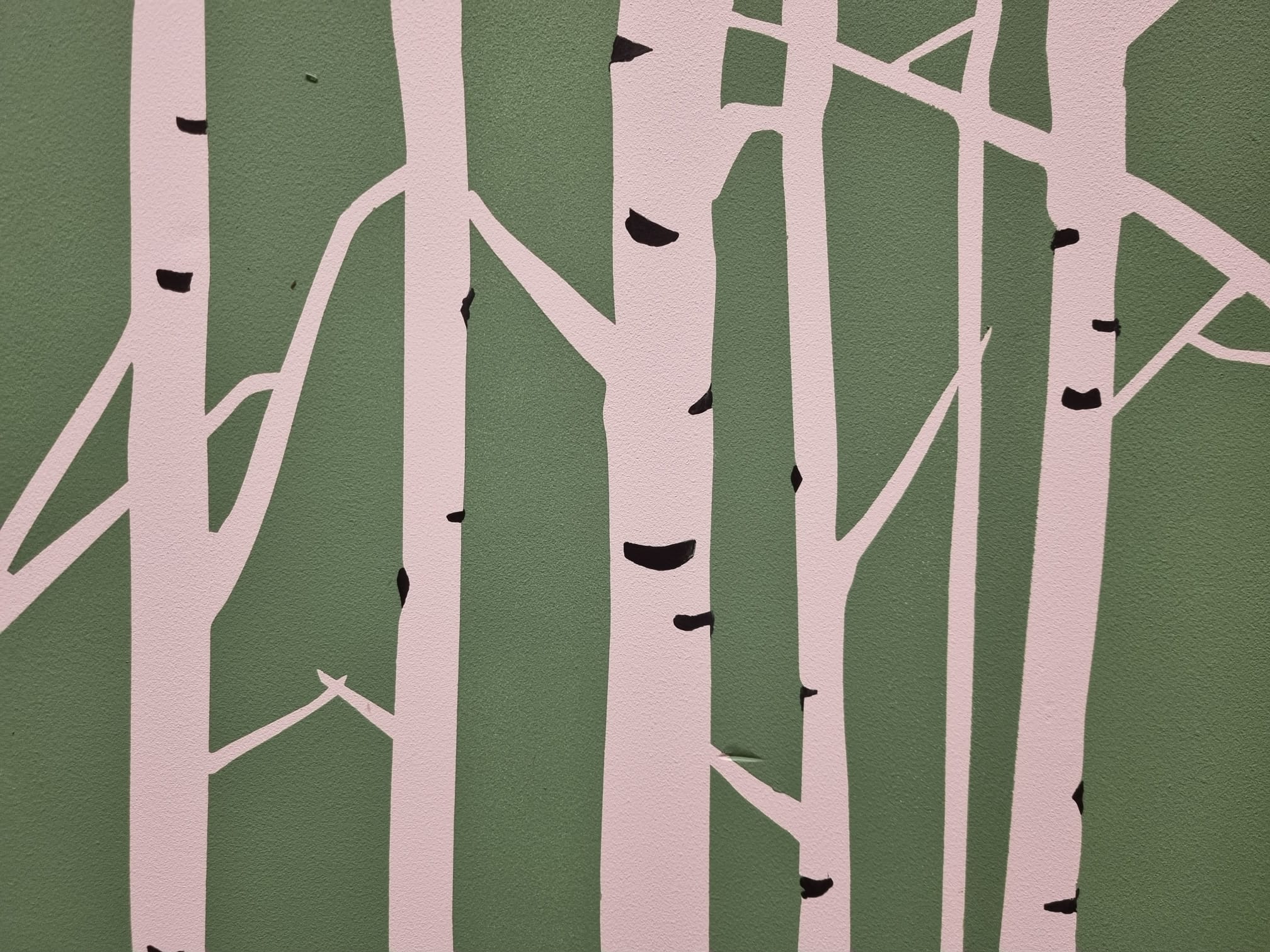 Birch Grove image 2