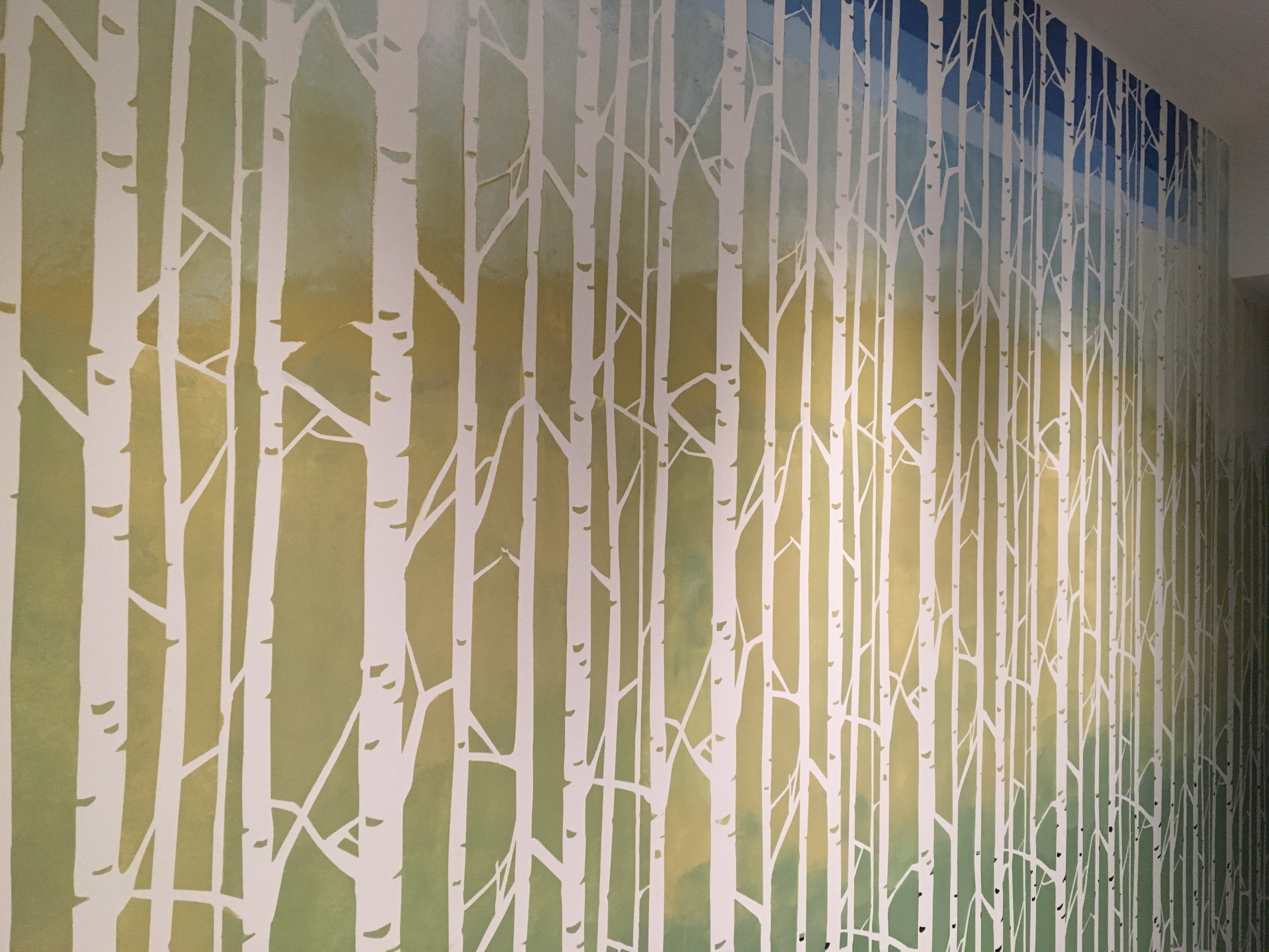 Birch Grove image 28