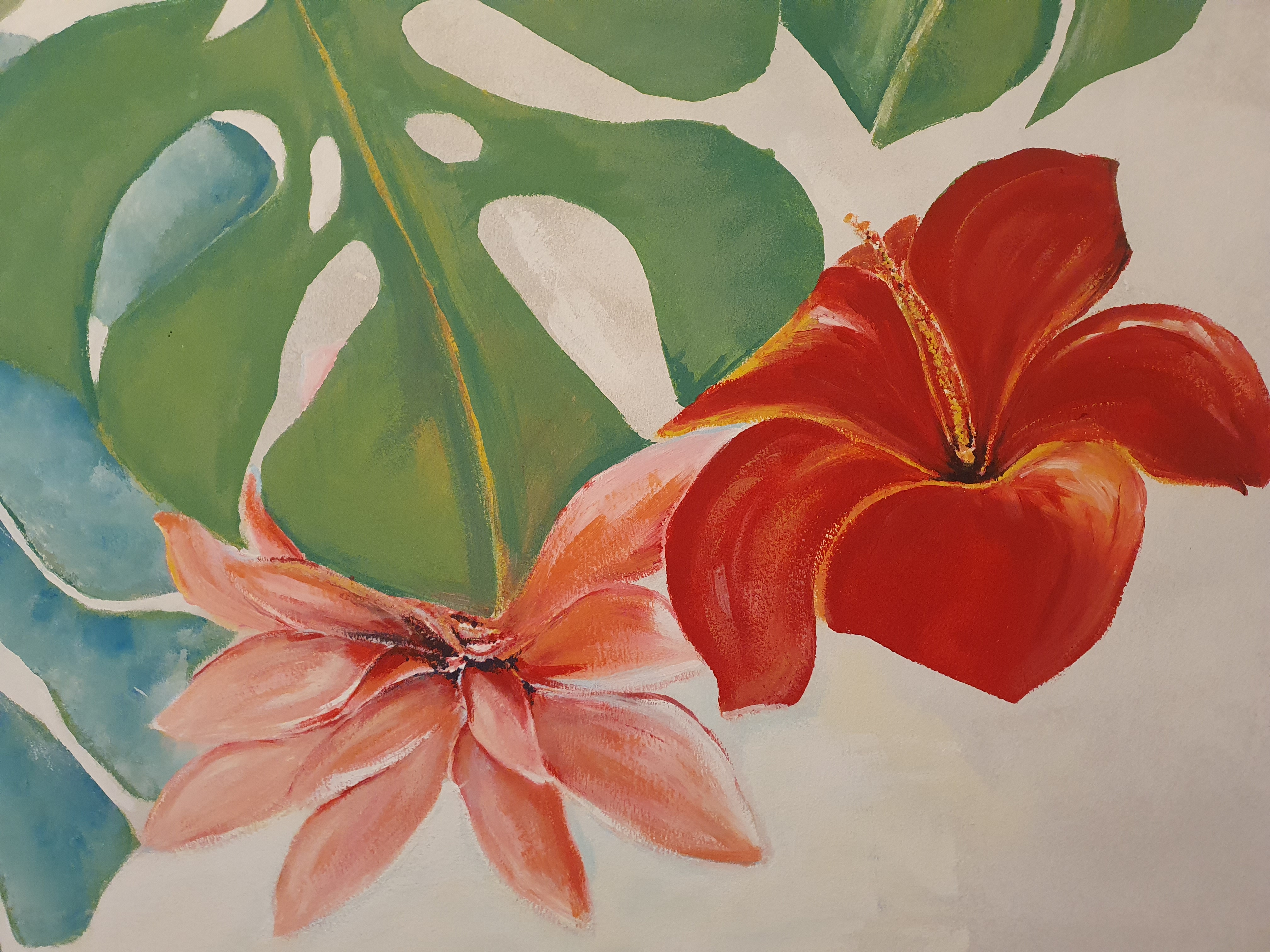 Tropical image 8