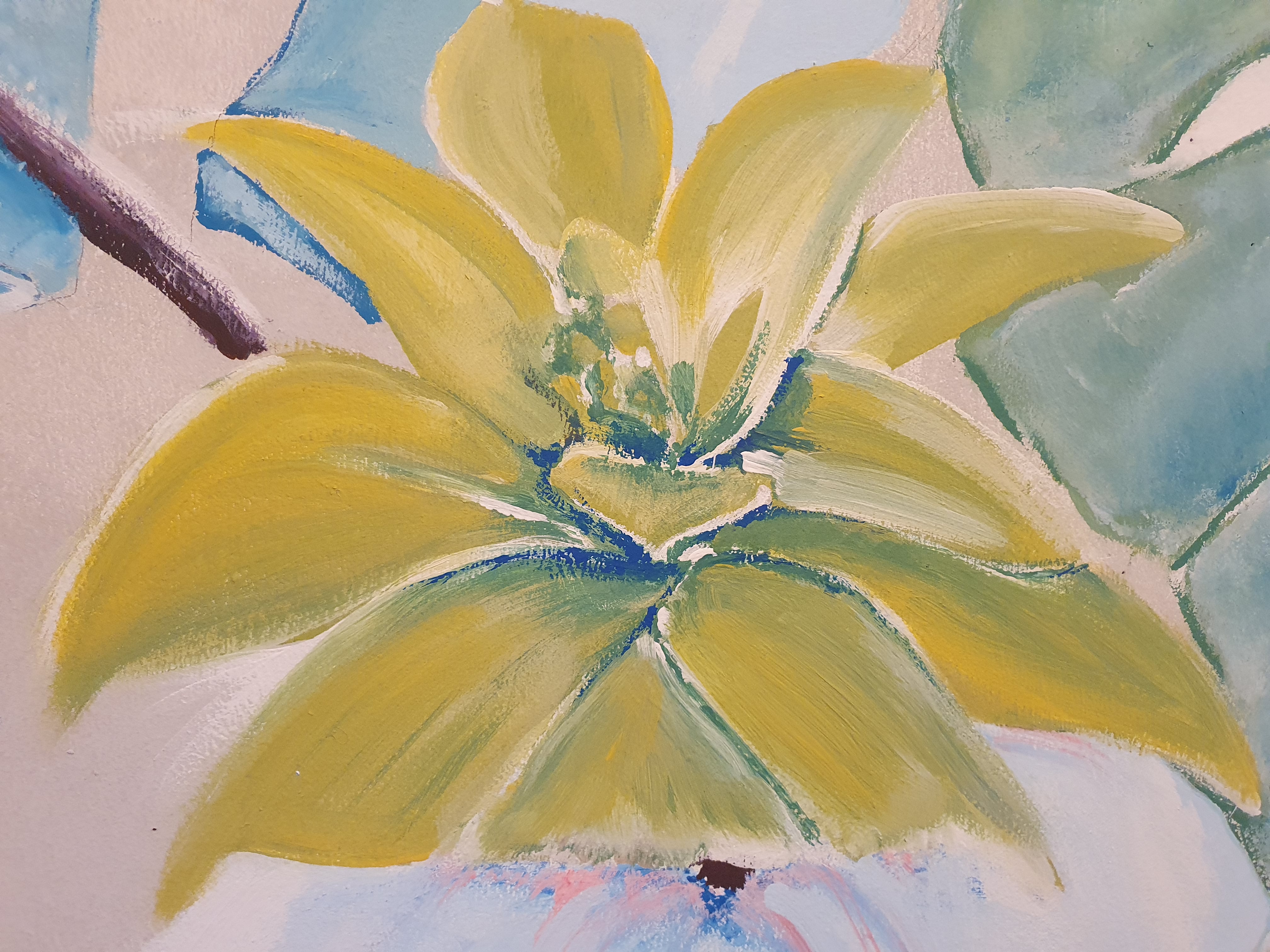 Tropical image 9