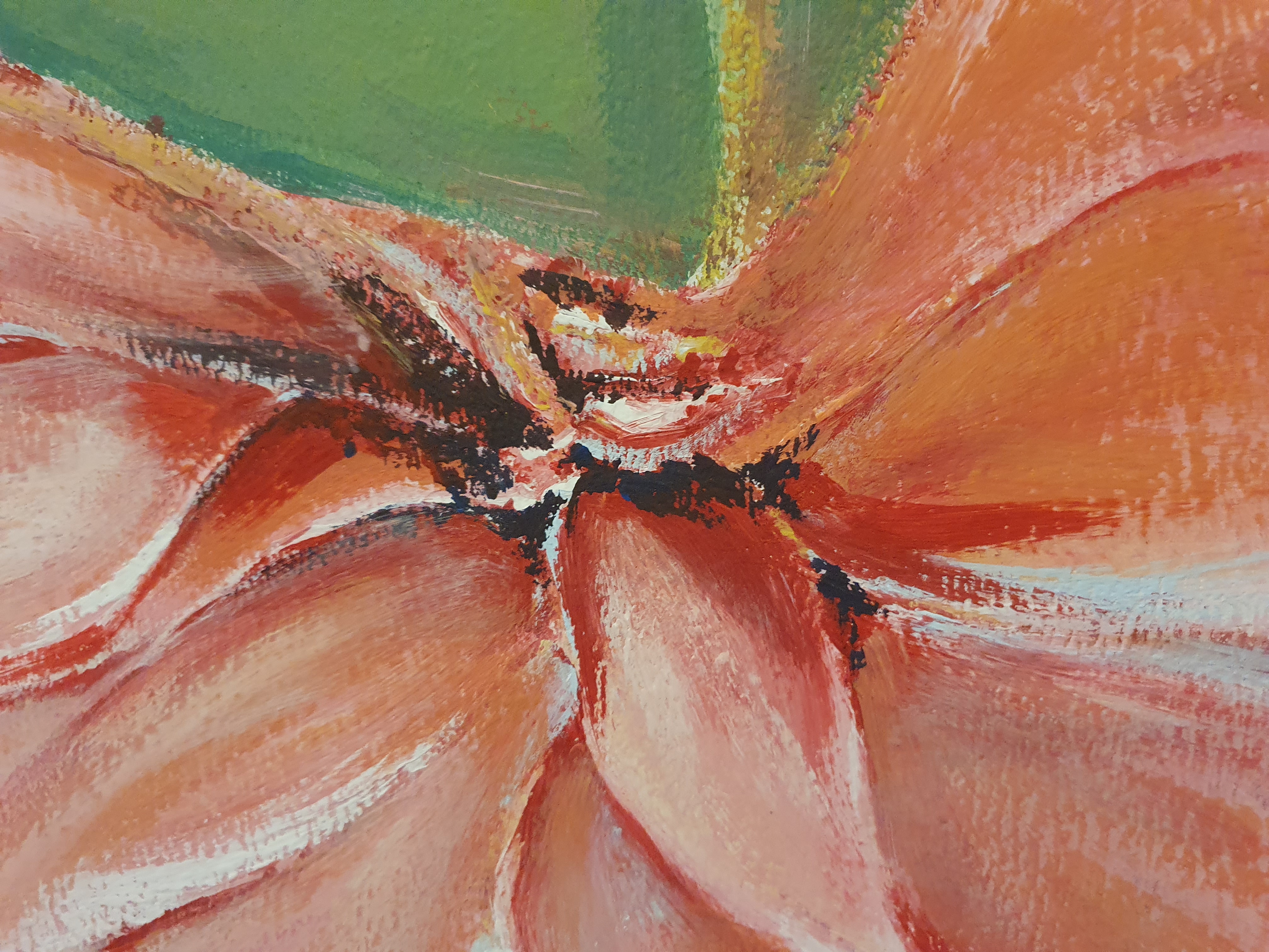 Tropical image 10