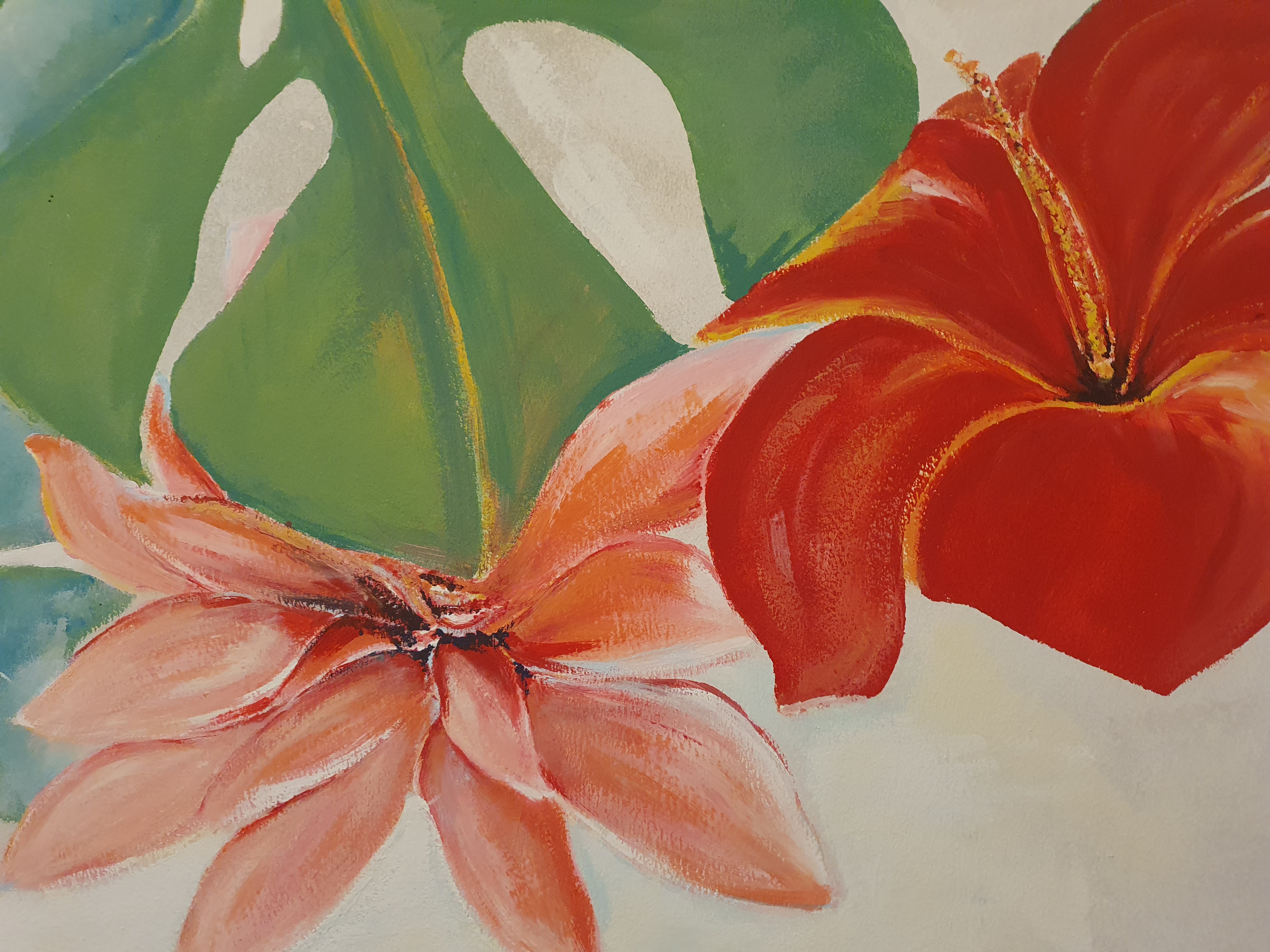Tropical image 11